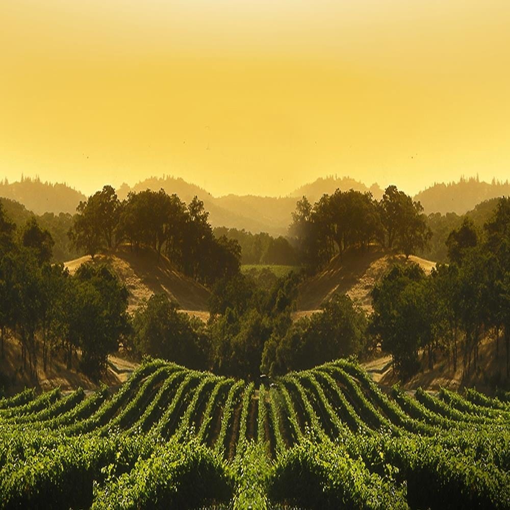 Glezna melnā rāmī - Napa Valley Home Trends
