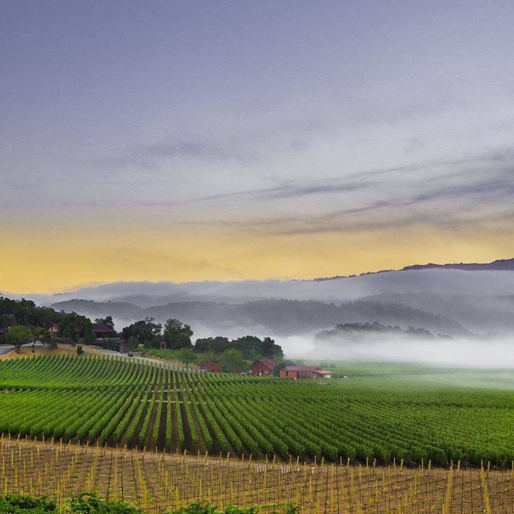 Glezna melnā rāmī - Napa Valley Home Trends