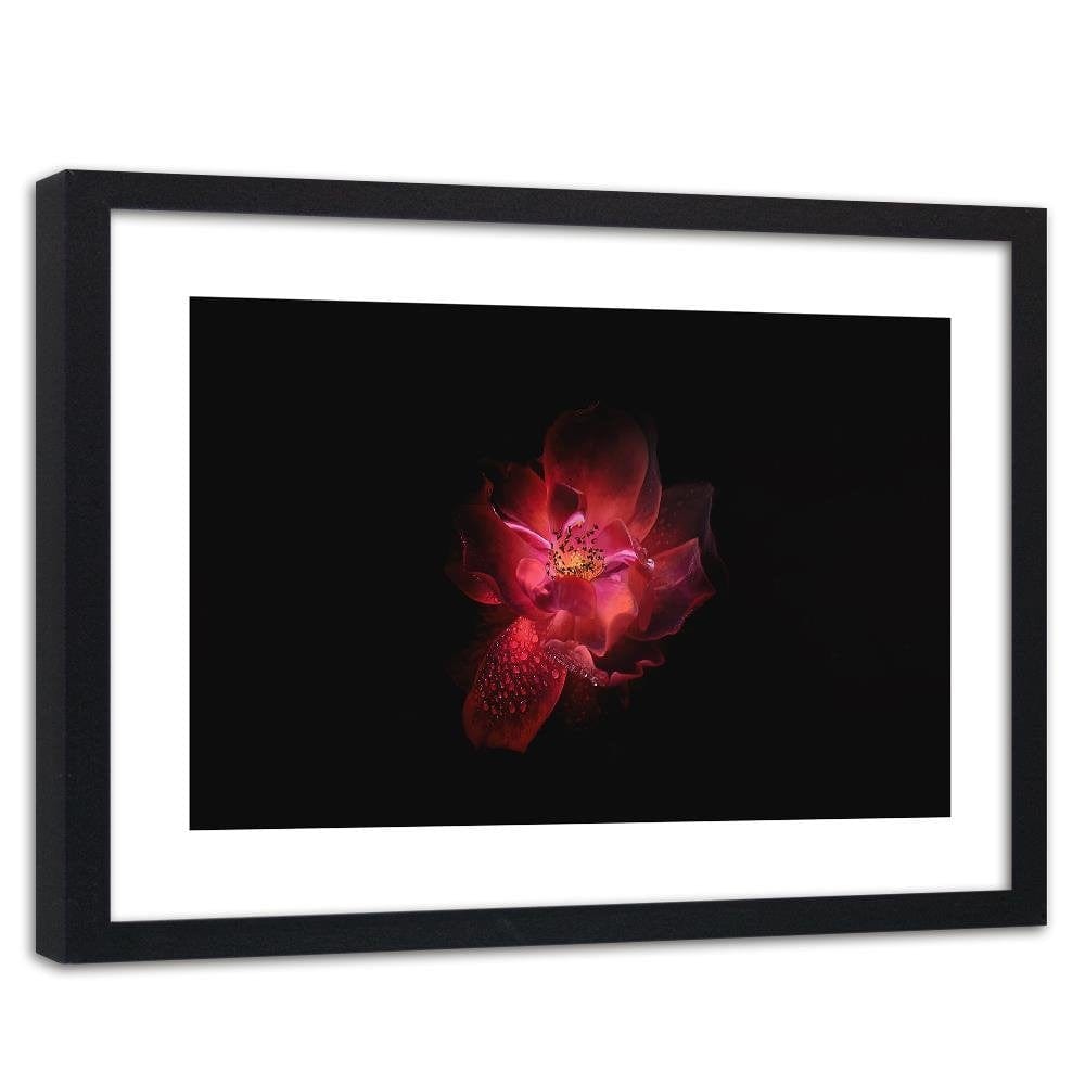 Glezna melnā rāmī - Night Flower Home Trends