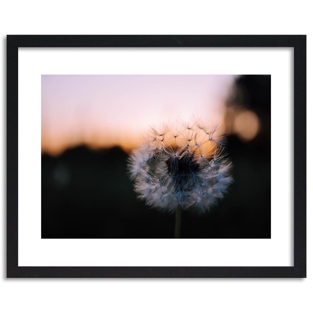 Glezna melnā rāmī - One Of Dandelion  Home Trends