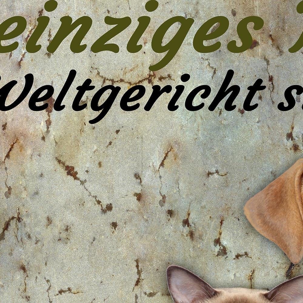 Glezna melnā rāmī - Operative Dog And Cat Home Trends