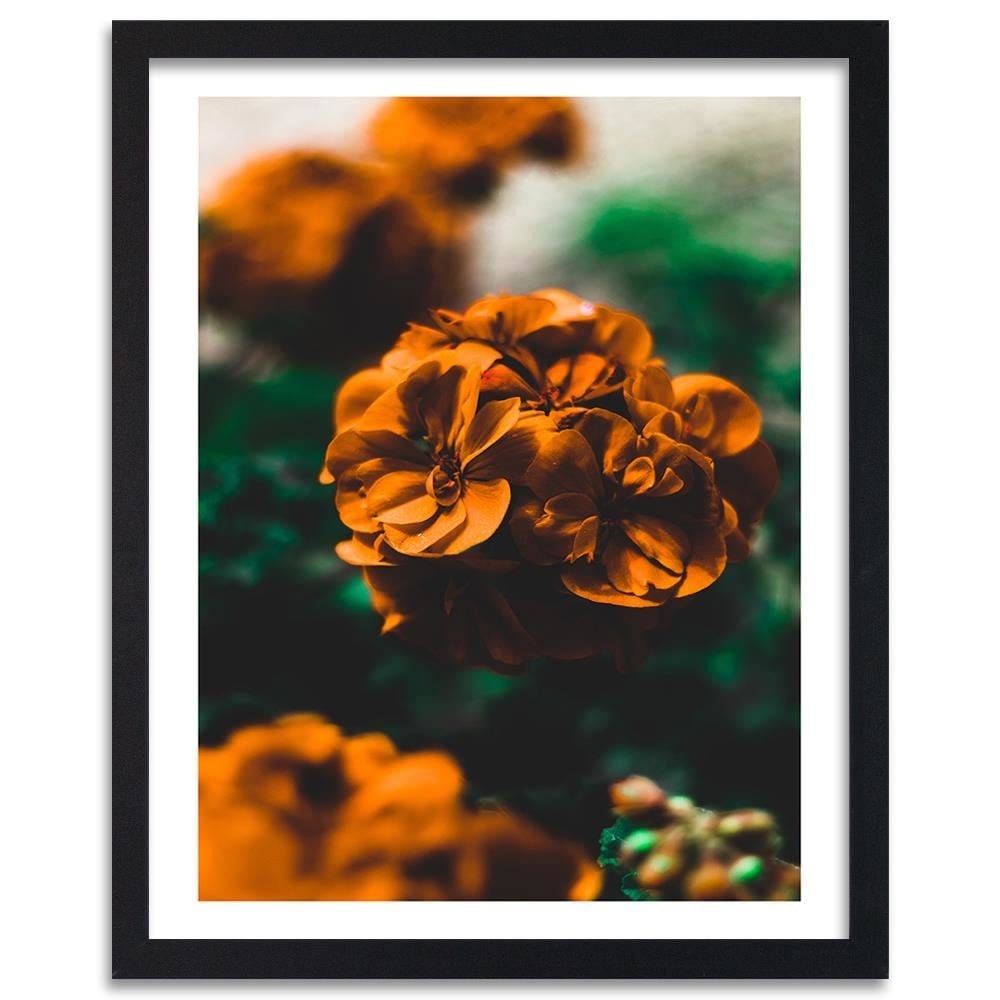 Glezna melnā rāmī - Orange Flowers Home Trends