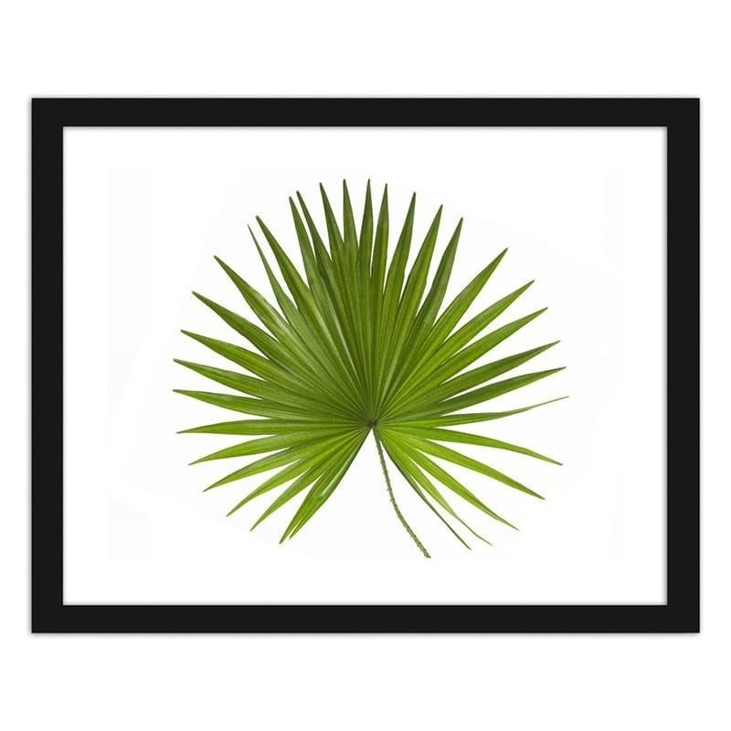 Glezna melnā rāmī - Palm leaf Home Trends
