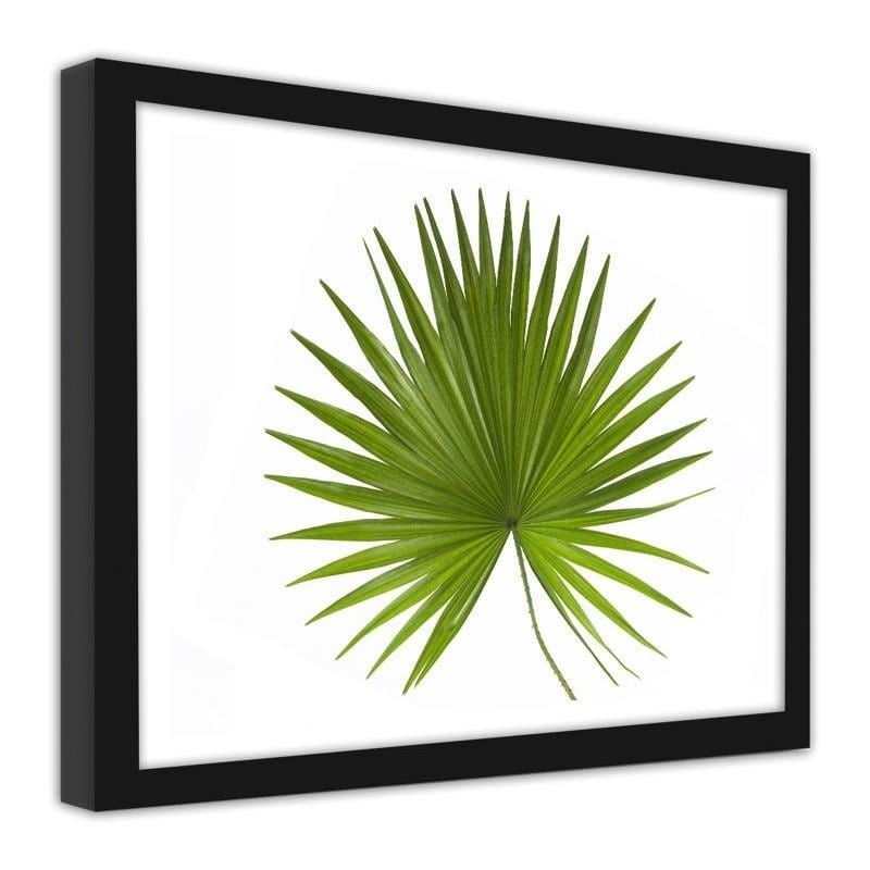 Glezna melnā rāmī - Palm leaf Home Trends