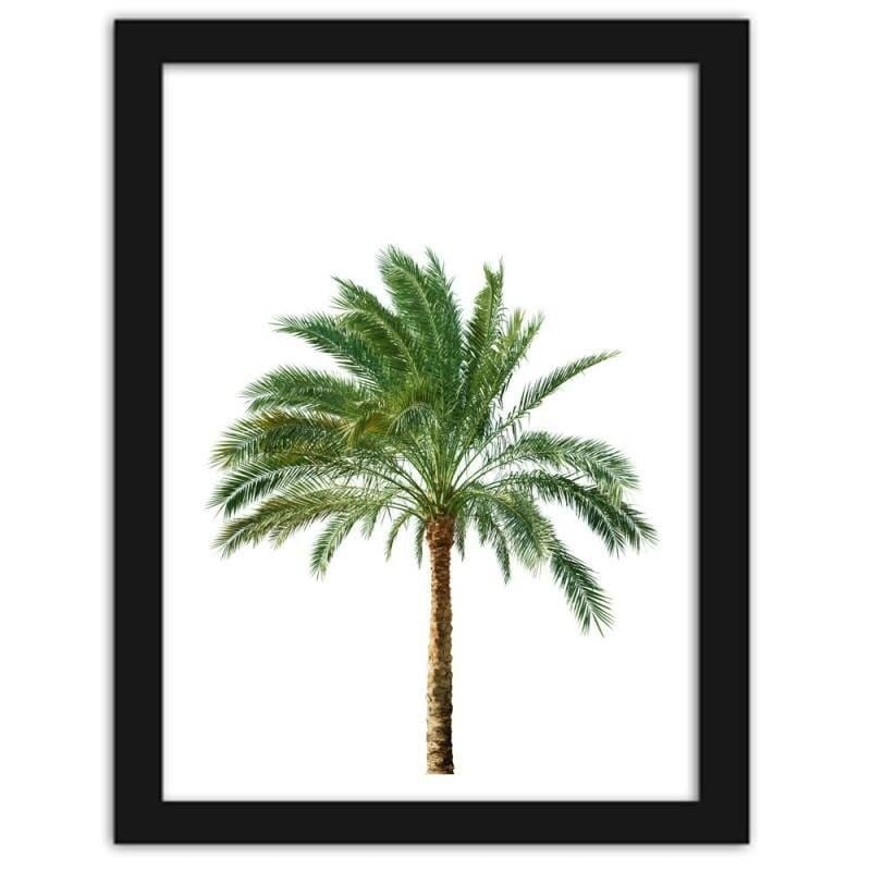 Glezna melnā rāmī - Palm on white background Home Trends