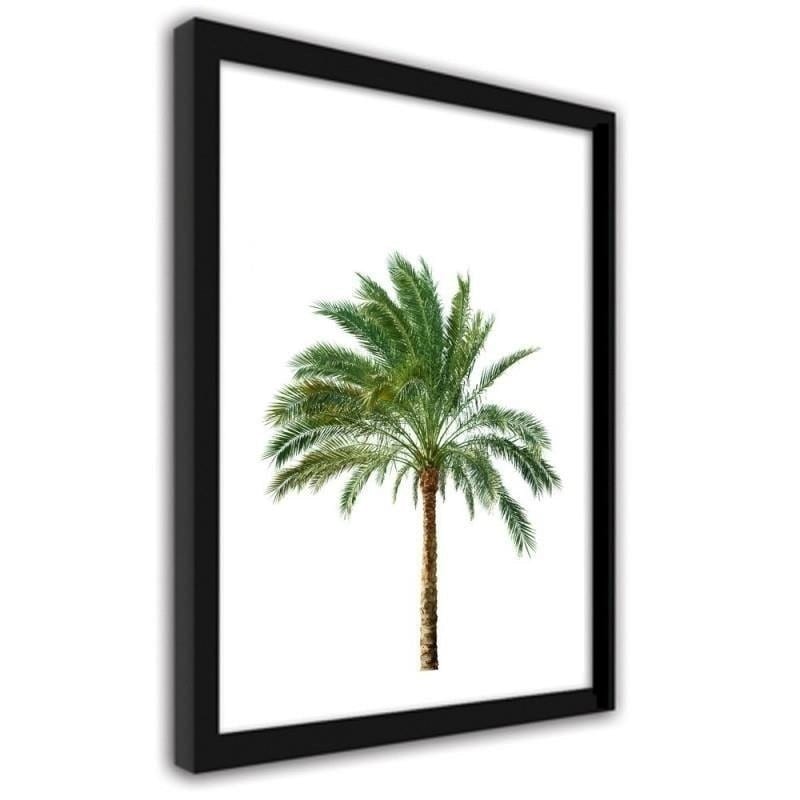 Glezna melnā rāmī - Palm on white background Home Trends