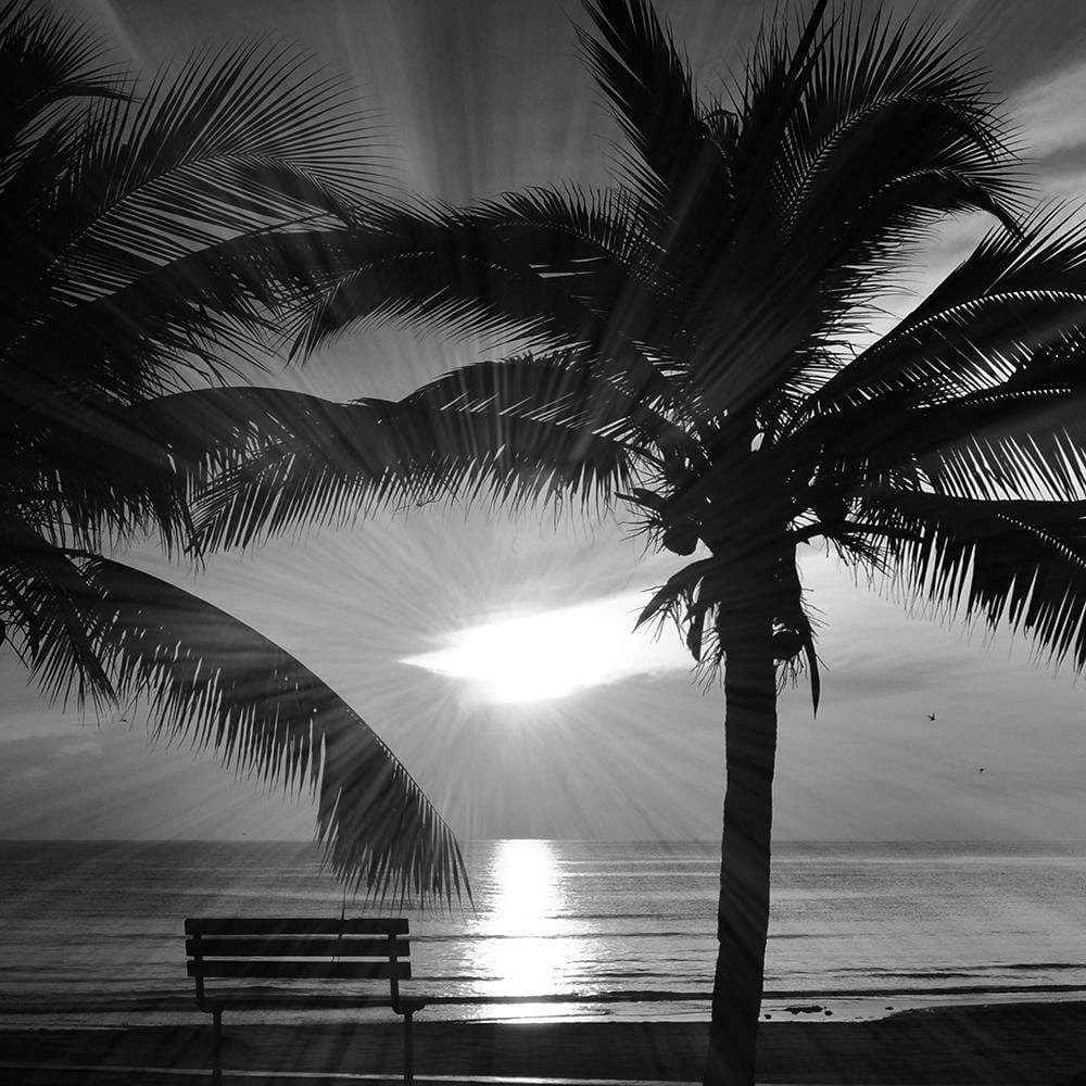 Glezna melnā rāmī - Palm Trees And Sun Rays 2 Home Trends