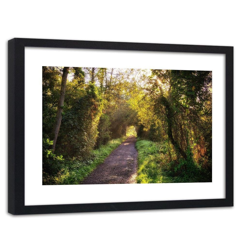 Glezna melnā rāmī - Path In Dense Forest  Home Trends