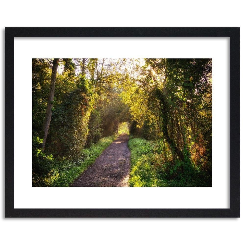 Glezna melnā rāmī - Path In Dense Forest  Home Trends