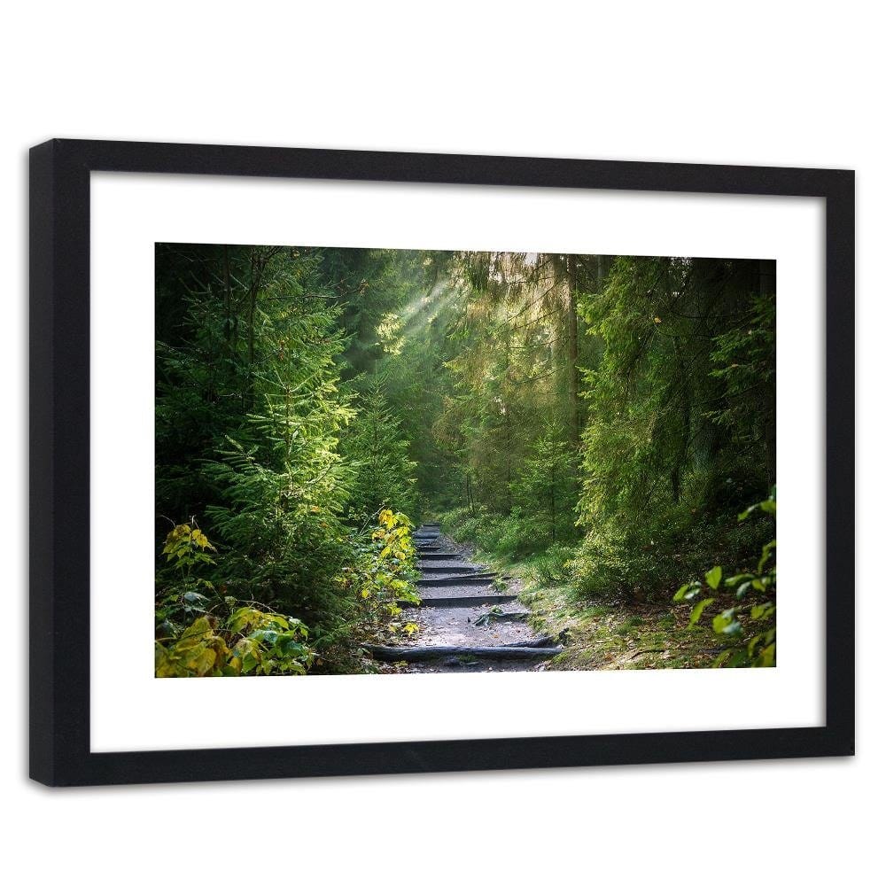Glezna melnā rāmī - Path In Green Forest  Home Trends