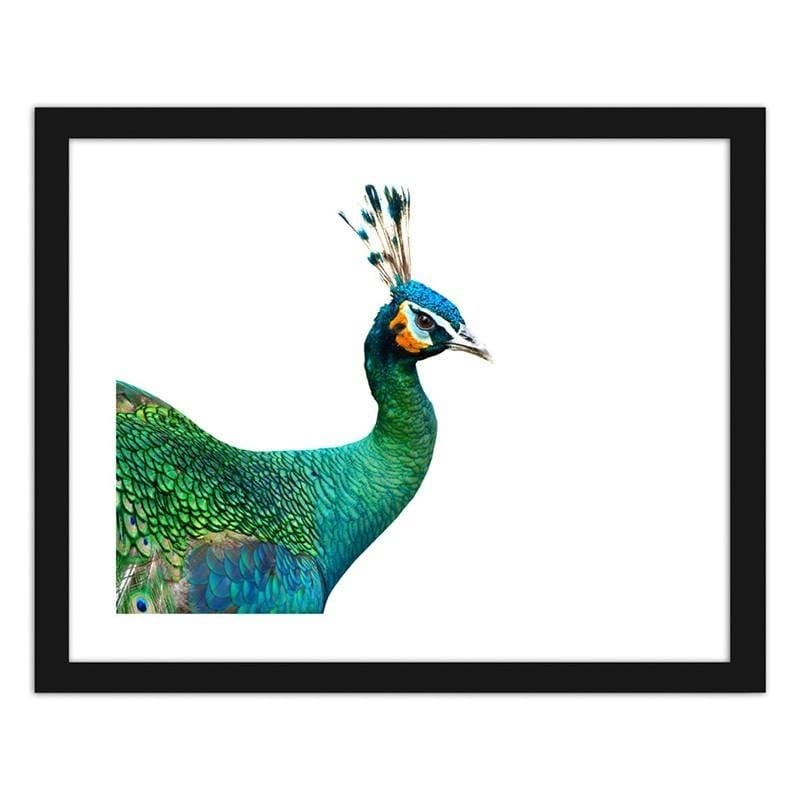 Glezna melnā rāmī - Peacock head Home Trends