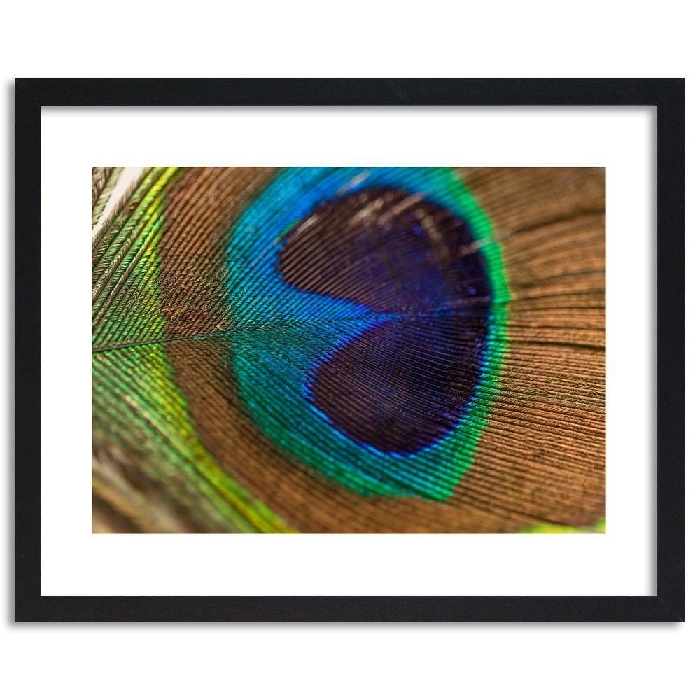 Glezna melnā rāmī - Peacocks Eye Home Trends