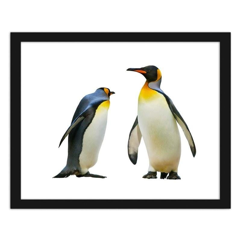 Glezna melnā rāmī - Penguins Home Trends