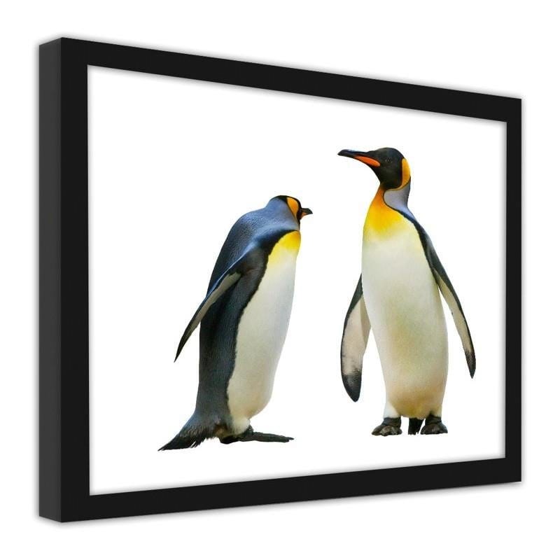 Glezna melnā rāmī - Penguins Home Trends