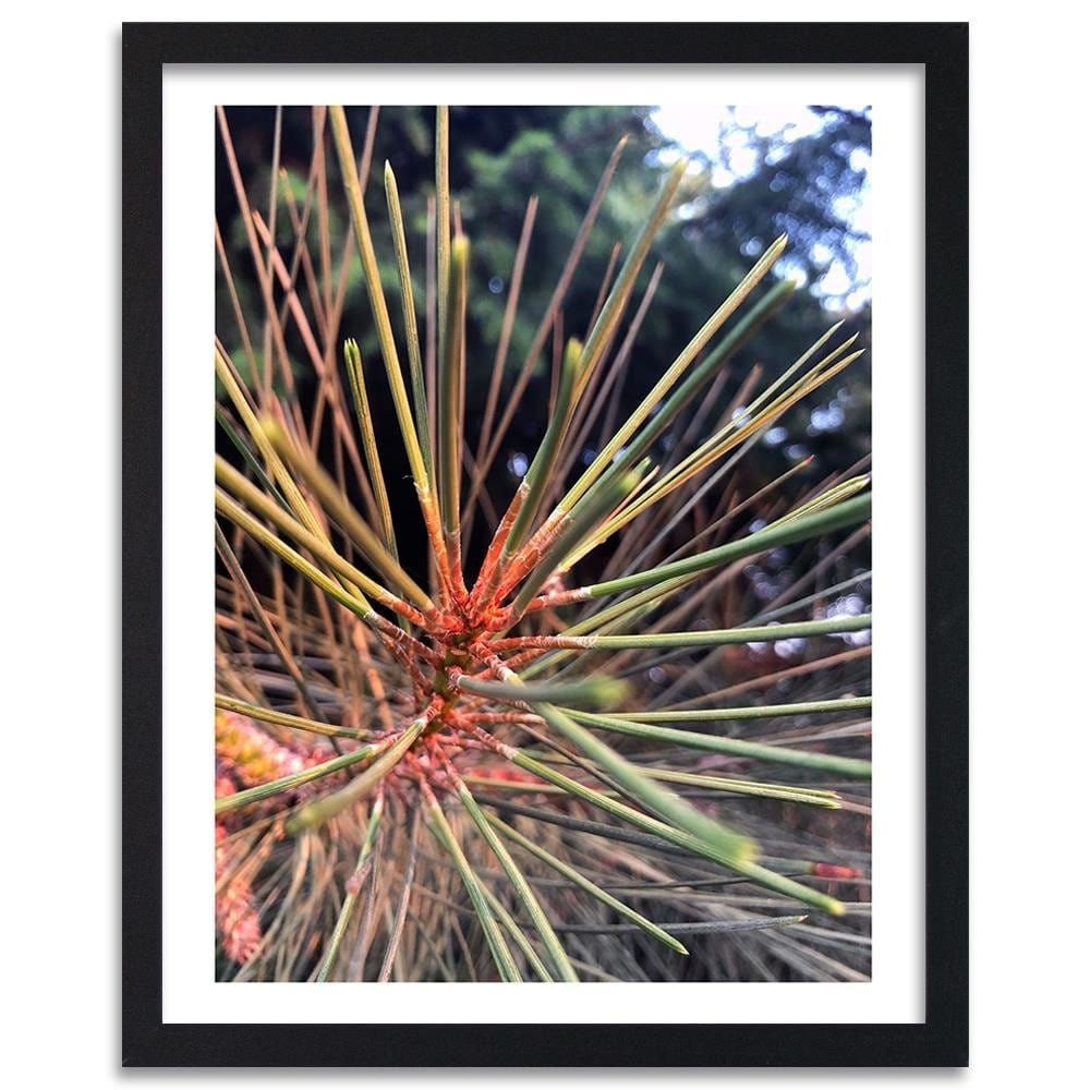 Glezna melnā rāmī - Pine Needles Home Trends