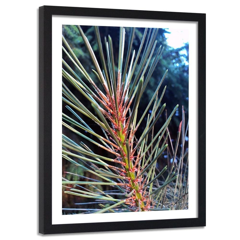 Glezna melnā rāmī - Pine Needles Home Trends