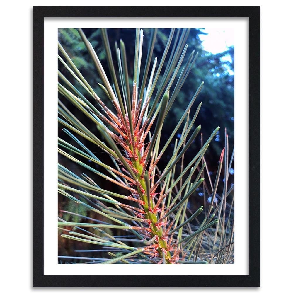 Glezna melnā rāmī - Pine Needles Home Trends