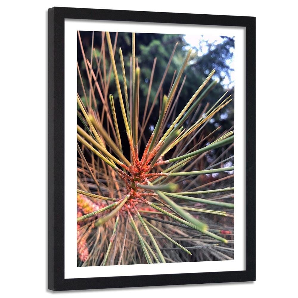 Glezna melnā rāmī - Pine Needles Home Trends