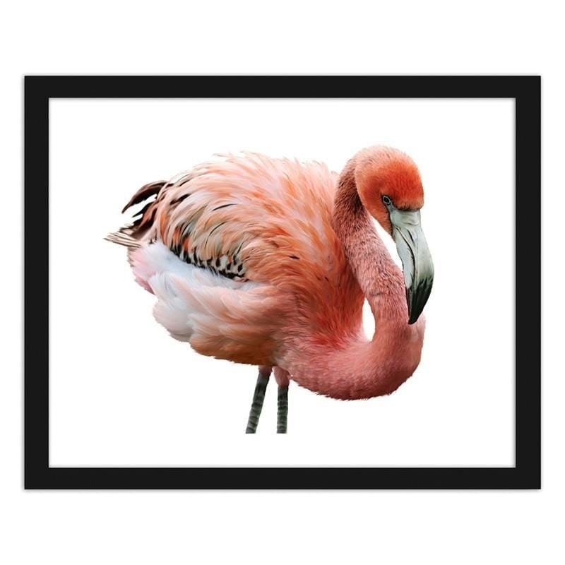 Glezna melnā rāmī - Pink flamingo Home Trends