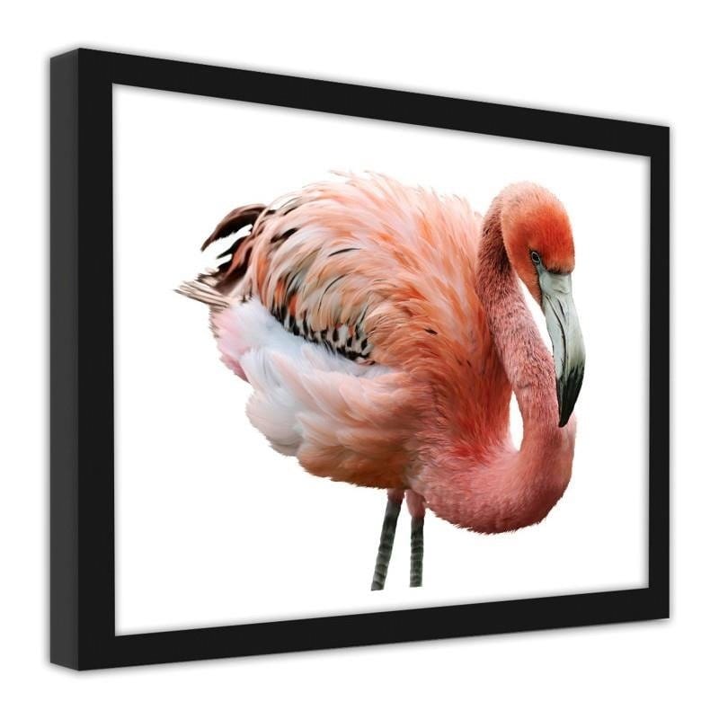 Glezna melnā rāmī - Pink flamingo Home Trends