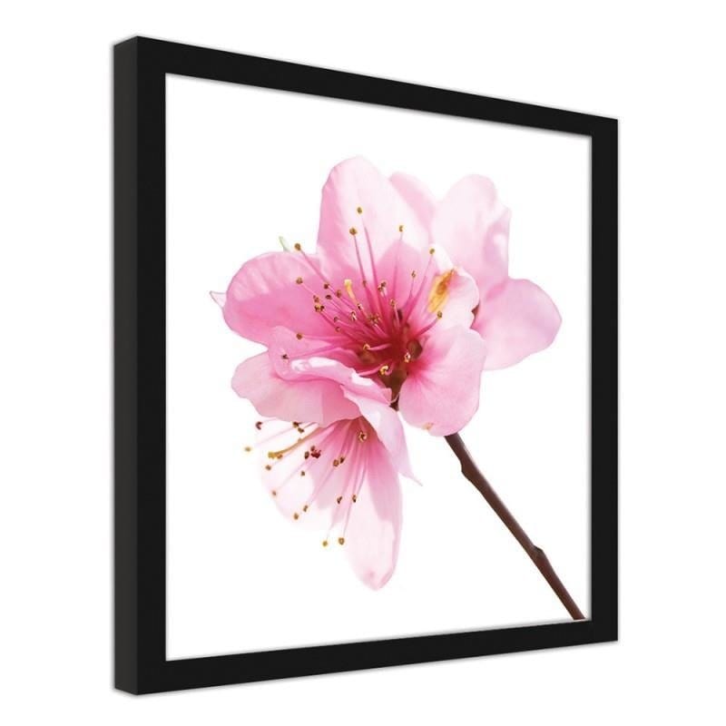 Glezna melnā rāmī - Pink flower 3 Home Trends