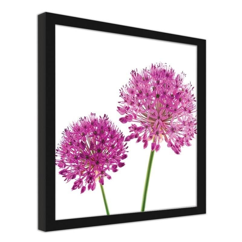 Glezna melnā rāmī - Pink garlic flower Home Trends