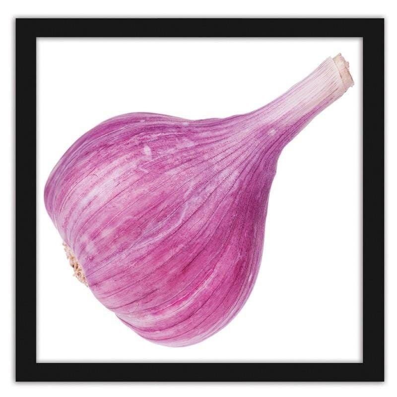 Glezna melnā rāmī - Pink garlic Home Trends