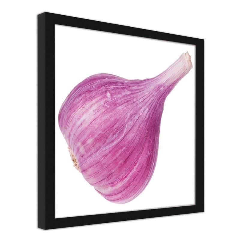Glezna melnā rāmī - Pink garlic Home Trends