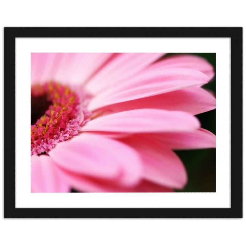 Glezna melnā rāmī - Pink gerbera Home Trends