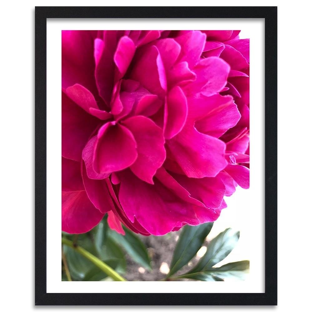 Glezna melnā rāmī - Pink Peony Home Trends