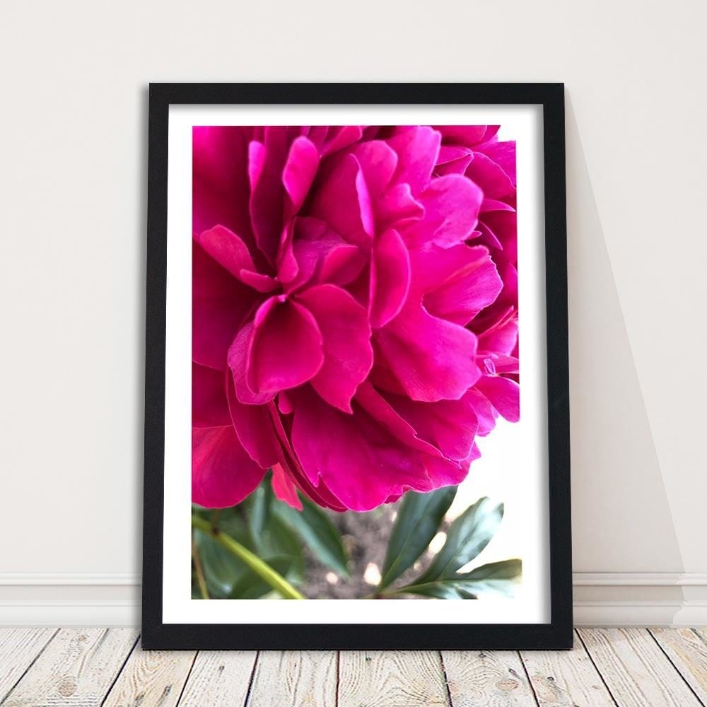 Glezna melnā rāmī - Pink Peony Home Trends