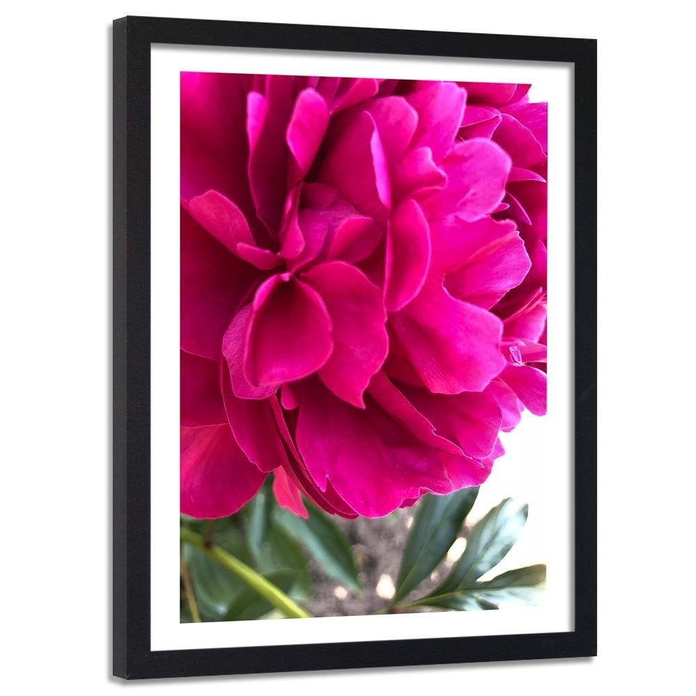 Glezna melnā rāmī - Pink Peony Home Trends