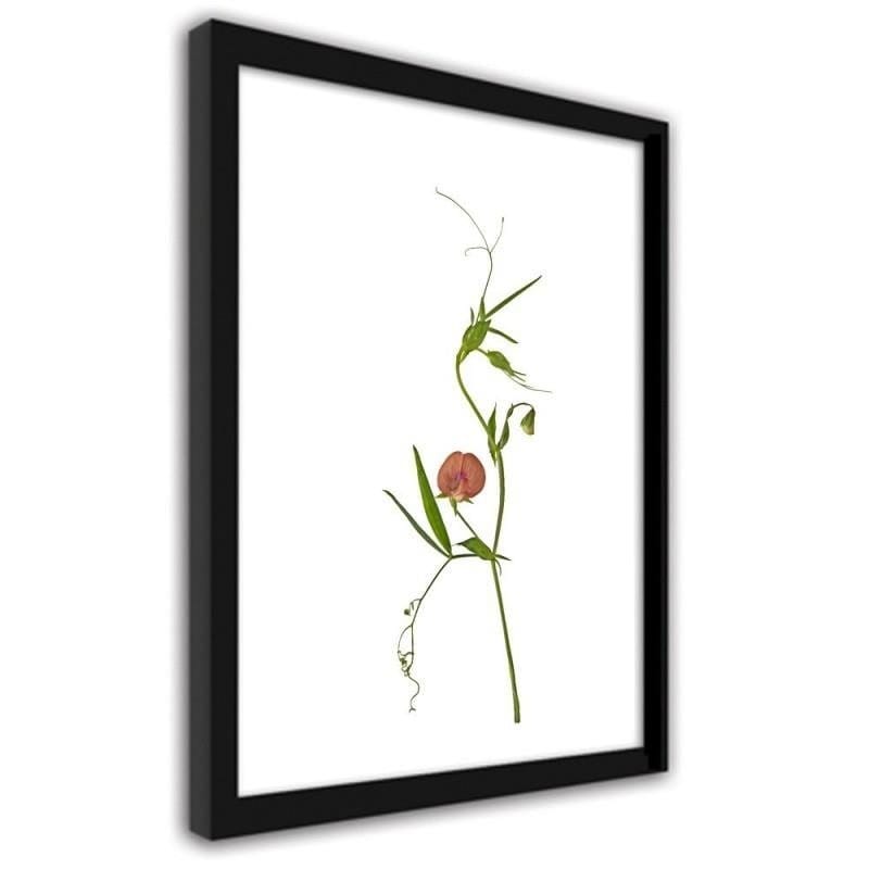 Glezna melnā rāmī - Plant Home Trends