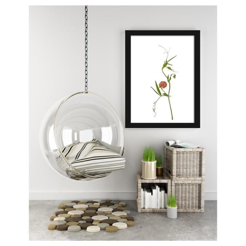 Glezna melnā rāmī - Plant Home Trends