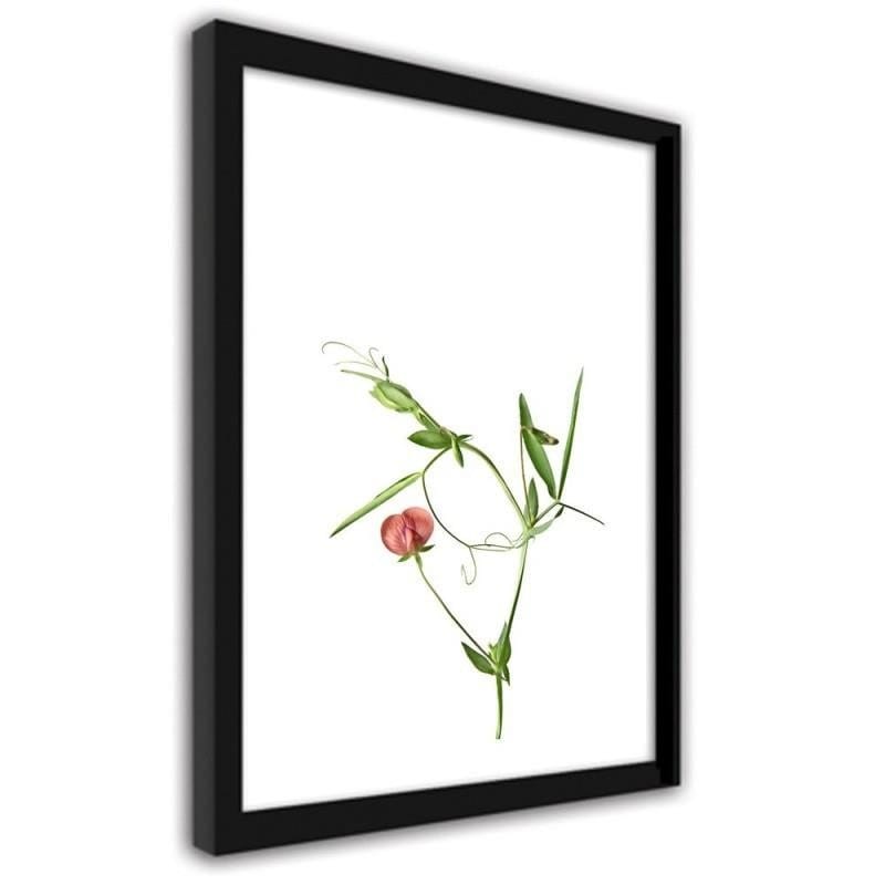 Glezna melnā rāmī - Plant on a white background Home Trends