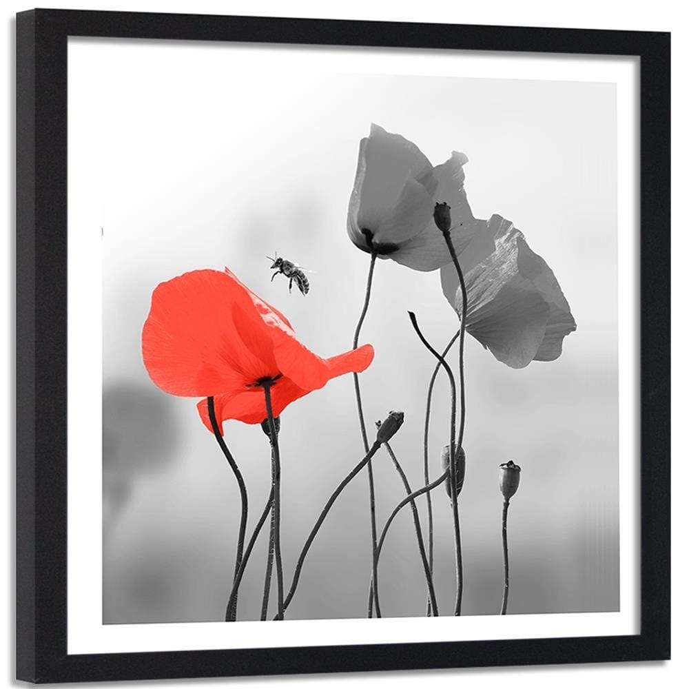 Glezna melnā rāmī - Poppies And Bee Home Trends