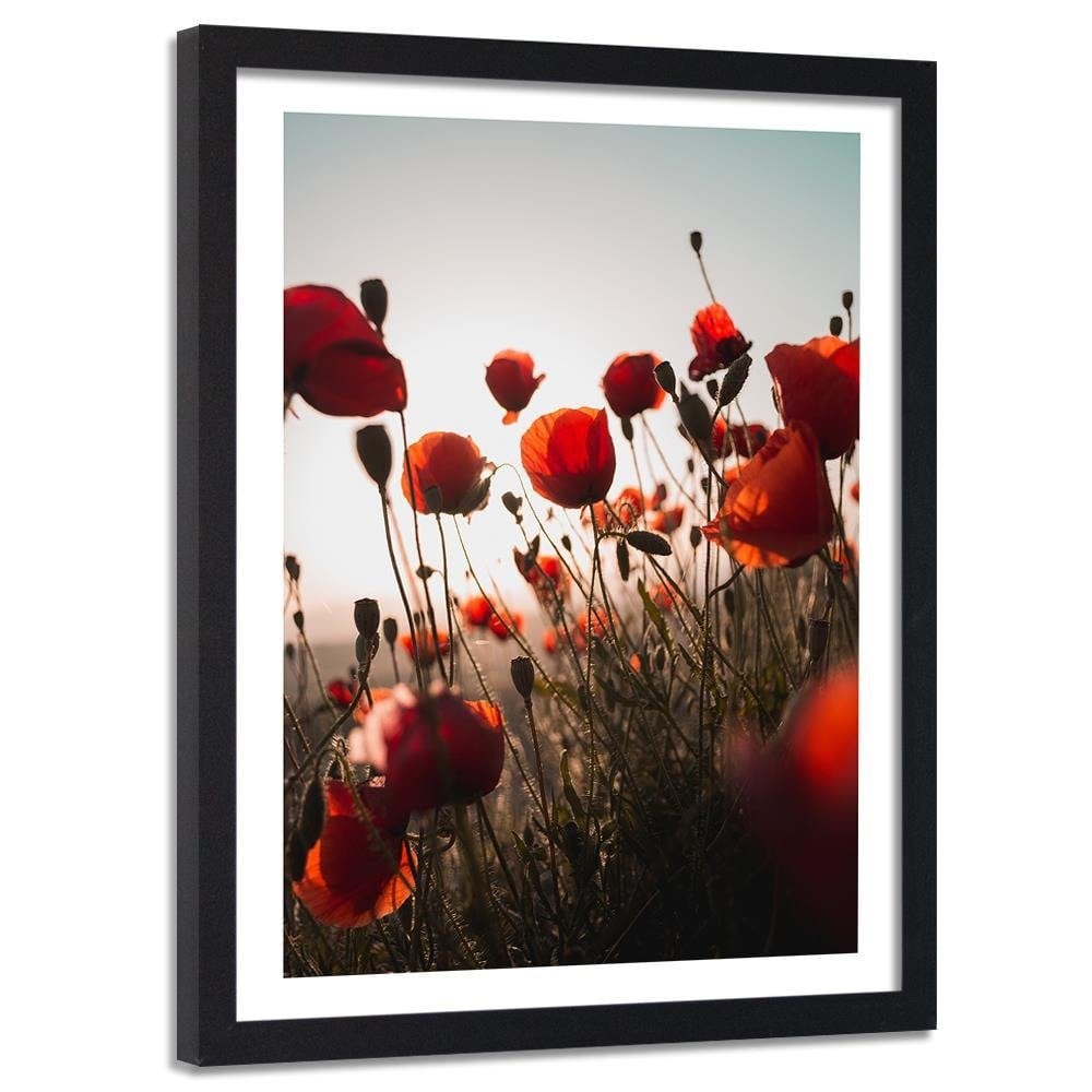 Glezna melnā rāmī - Poppies In Suns Home Trends