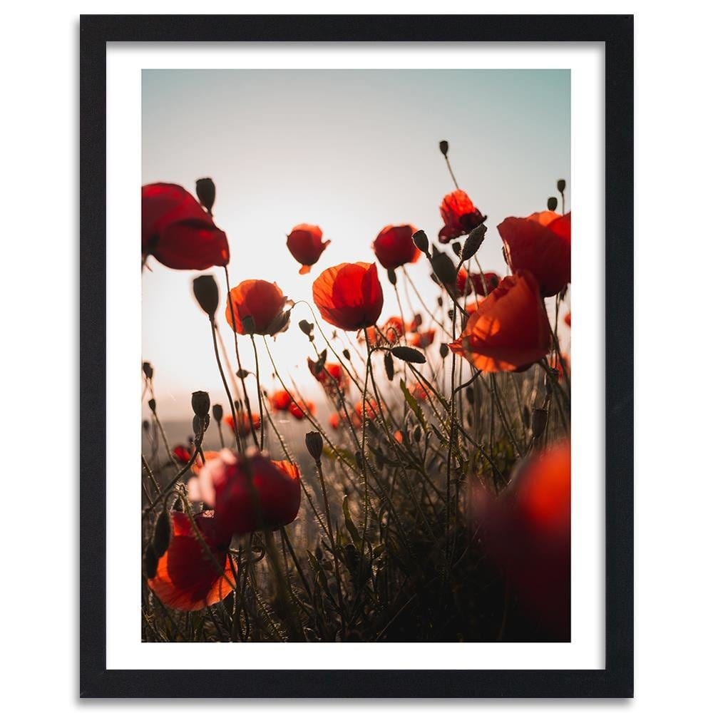 Glezna melnā rāmī - Poppies In Suns Home Trends