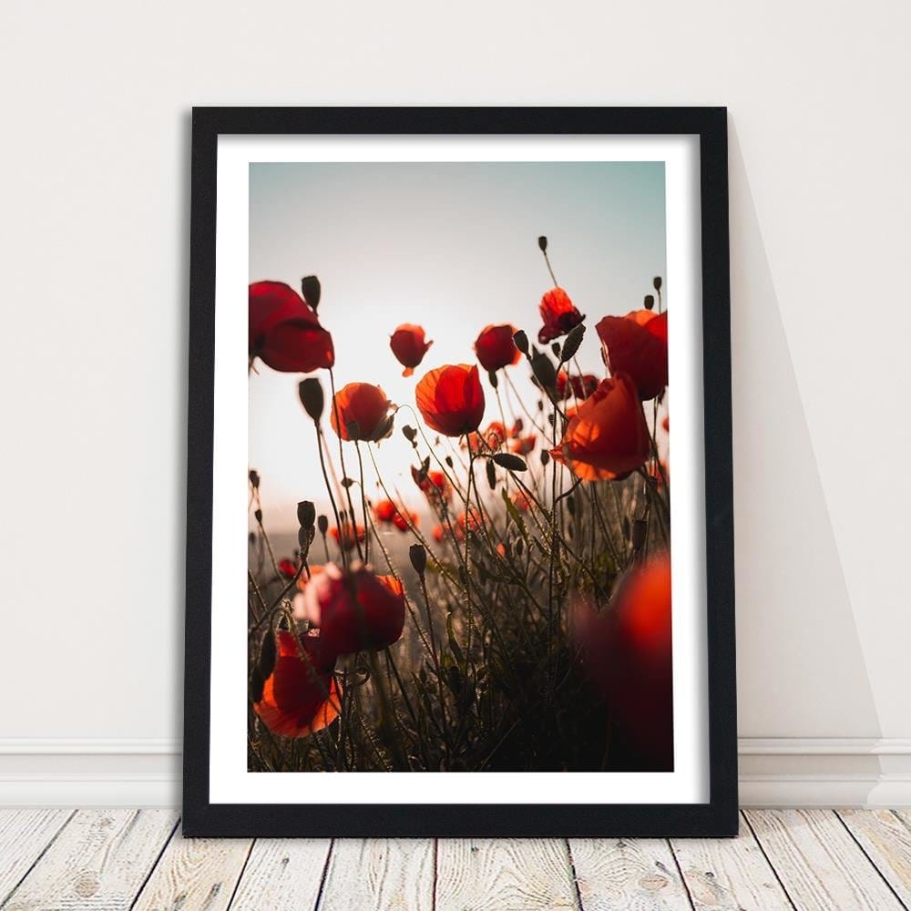 Glezna melnā rāmī - Poppies In Suns  Home Trends