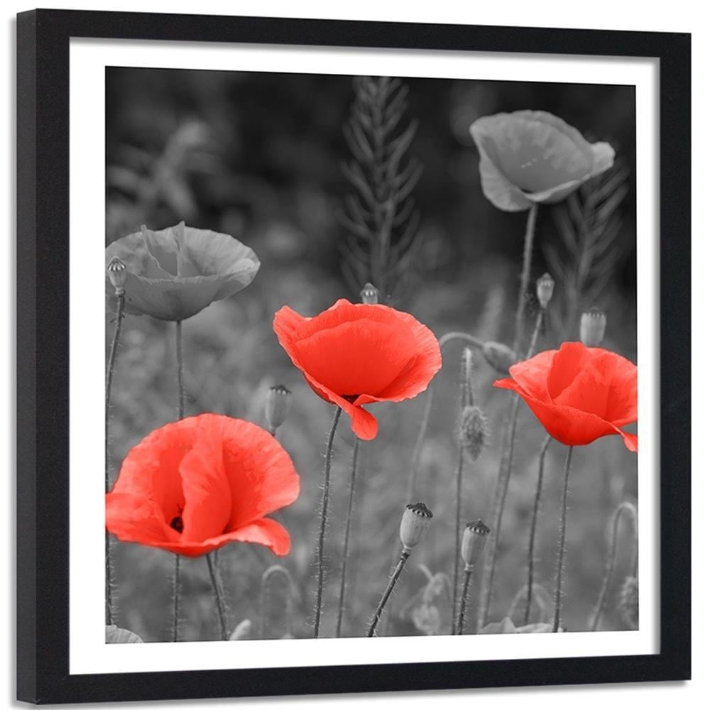 Glezna melnā rāmī - Poppies In The Meadow Home Trends