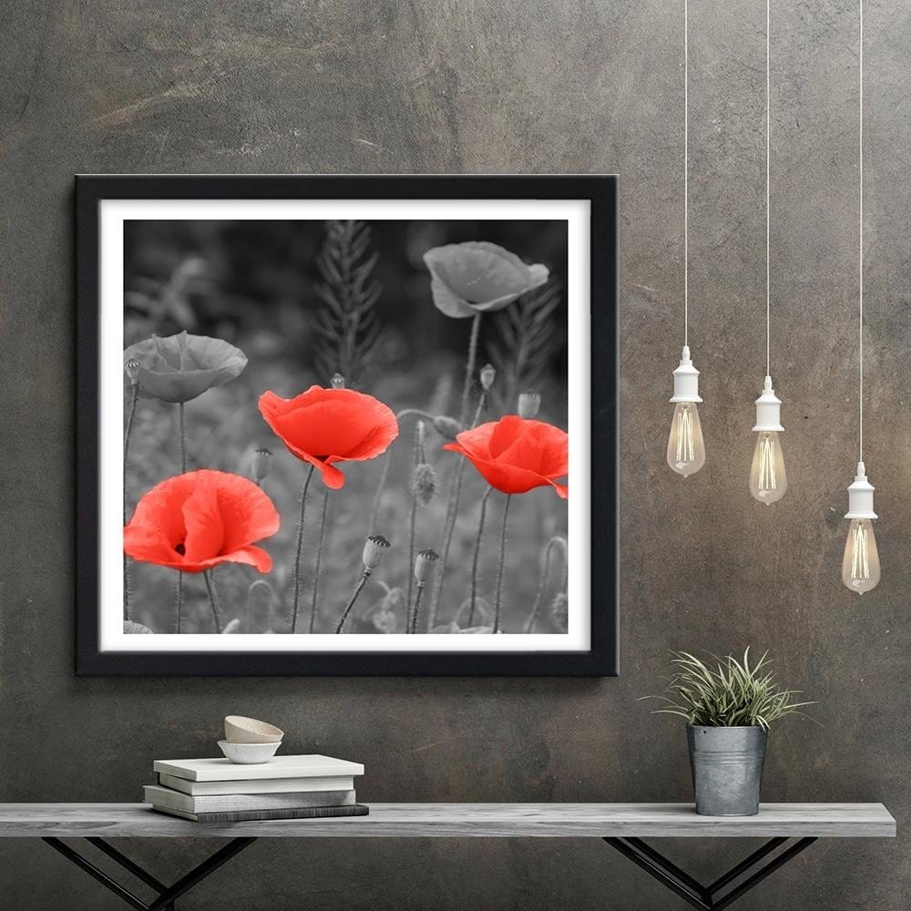 Glezna melnā rāmī - Poppies In The Meadow Home Trends
