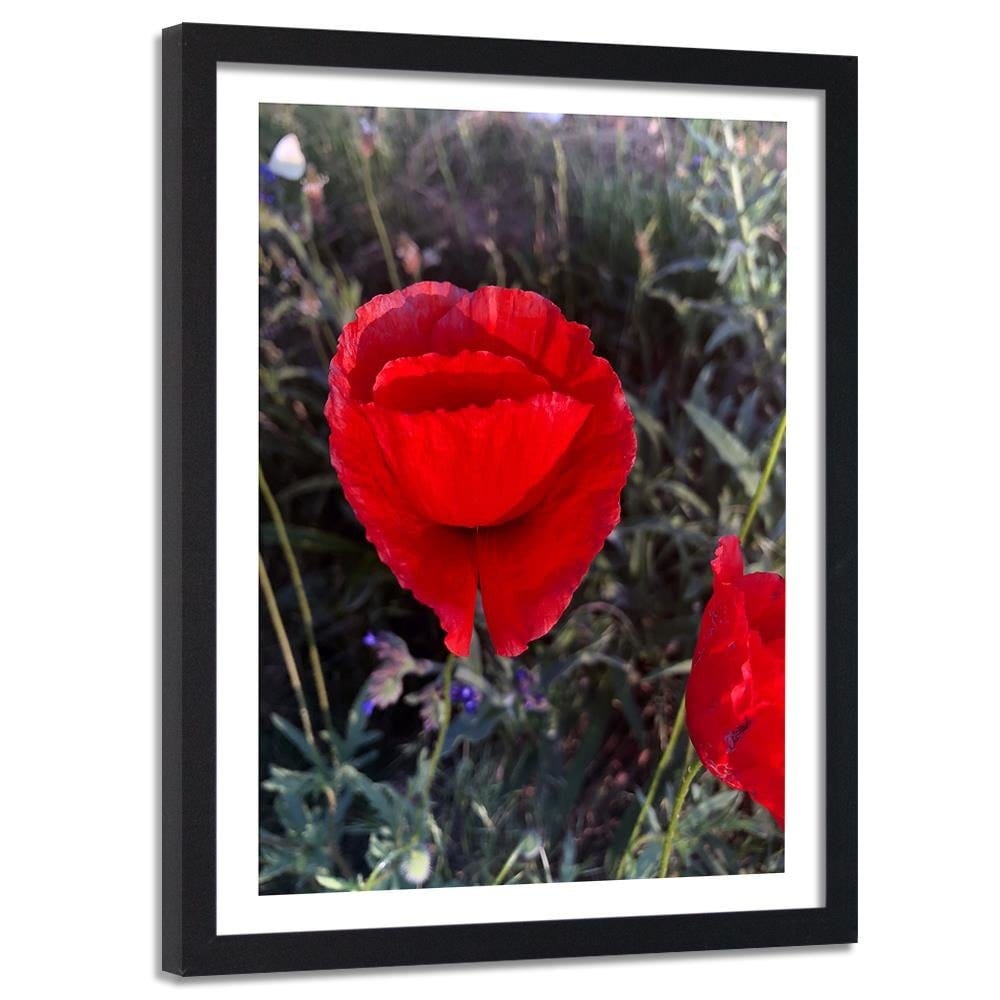 Glezna melnā rāmī - Poppy Petals Home Trends