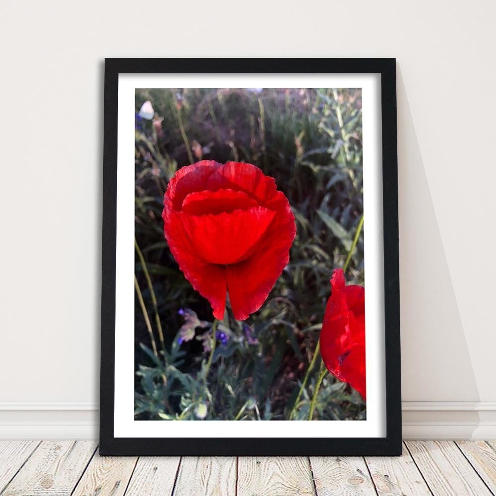 Glezna melnā rāmī - Poppy Petals Home Trends