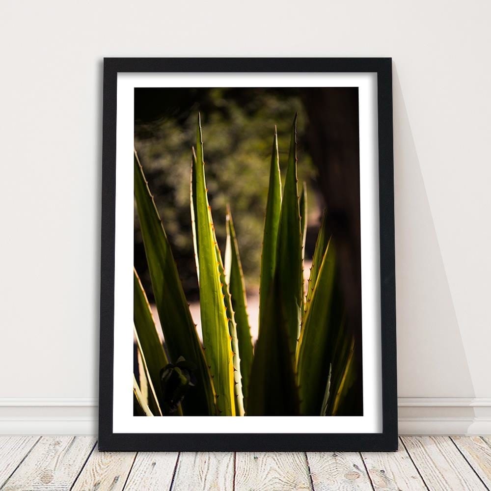 Glezna melnā rāmī - Prickly Leaves Home Trends