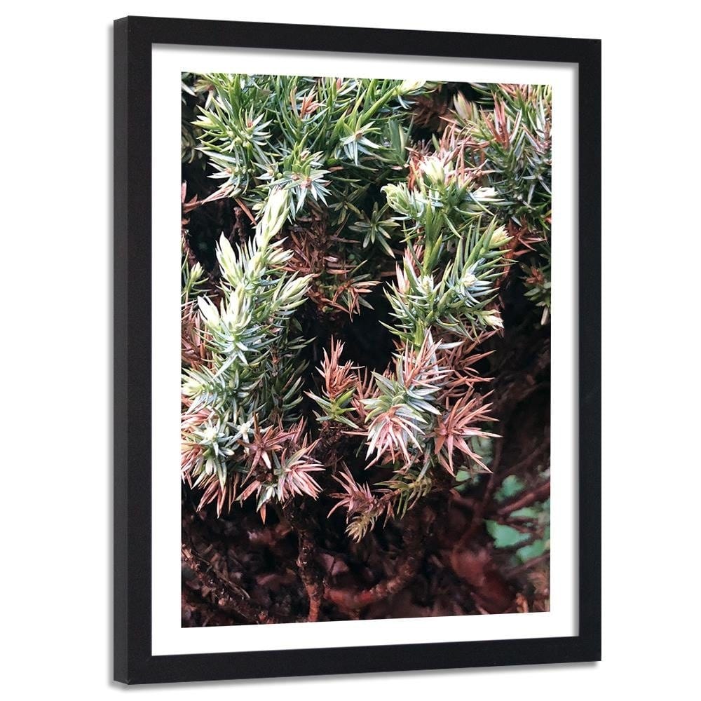 Glezna melnā rāmī - Prickly Shrub Home Trends