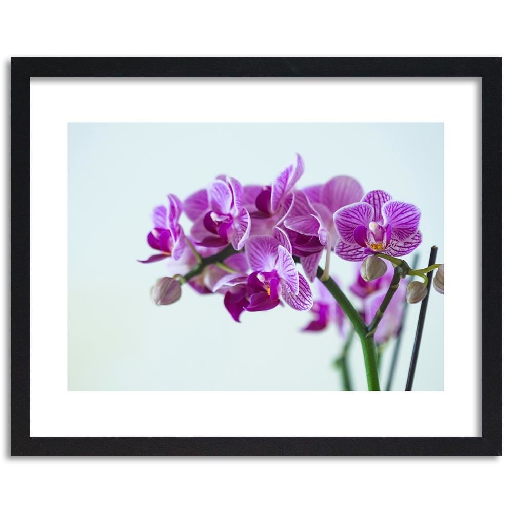 Glezna melnā rāmī - Purple Orchid Home Trends