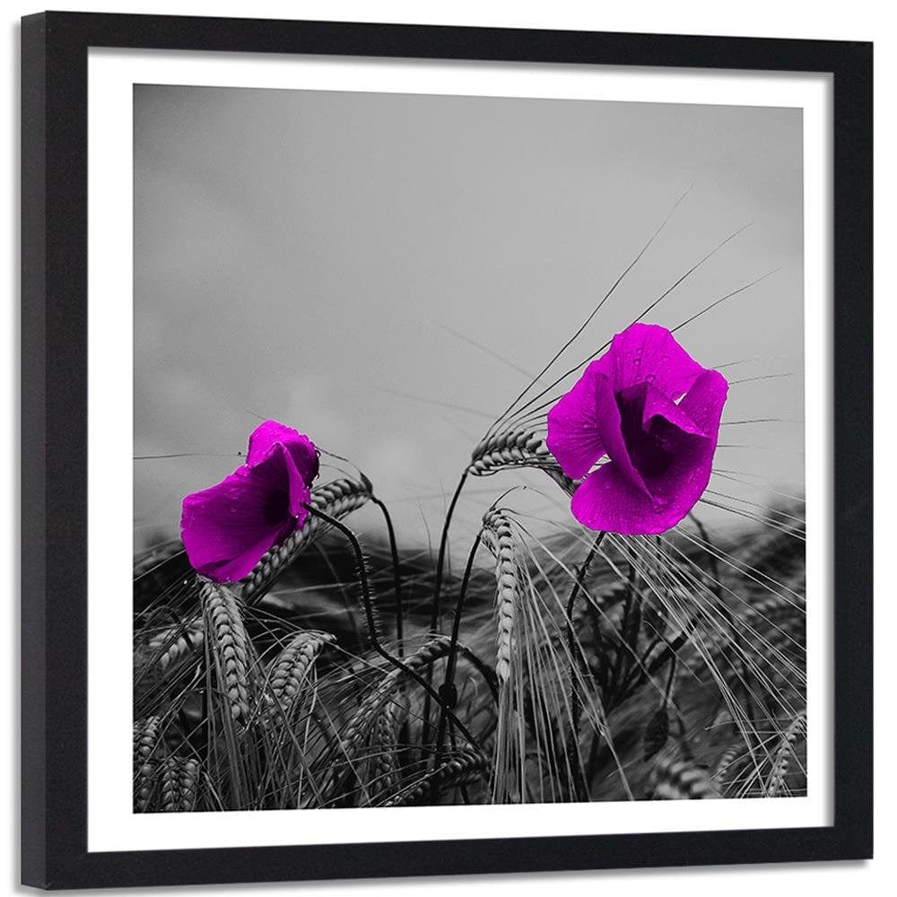 Glezna melnā rāmī - Purple Poppies And Corn Home Trends