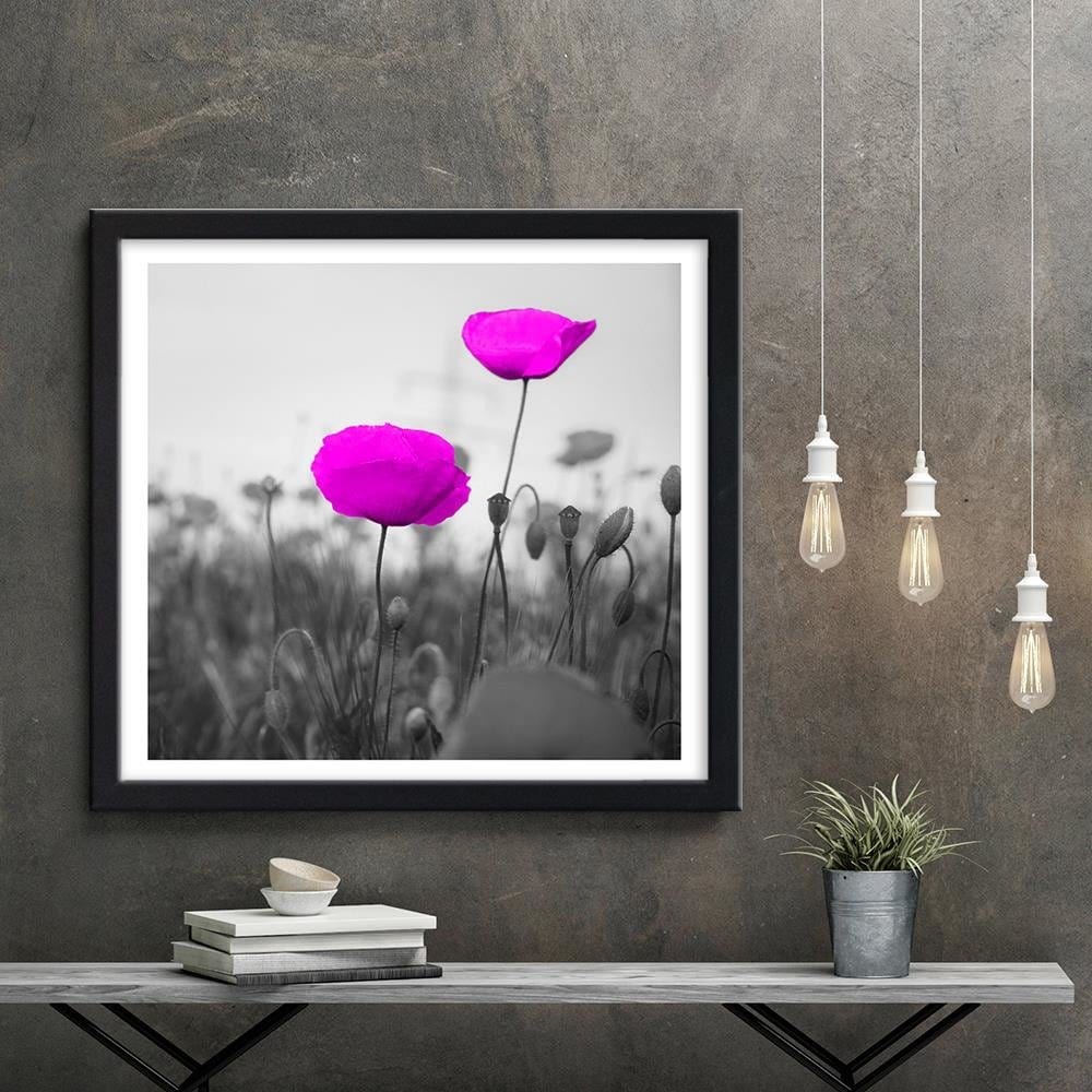 Glezna melnā rāmī - Purple Poppies On The Meadow Home Trends