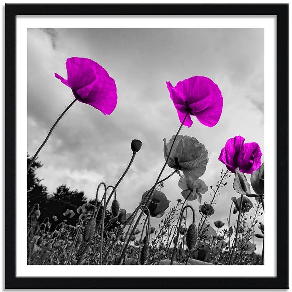 Glezna melnā rāmī - Purple Poppy Flowers Home Trends
