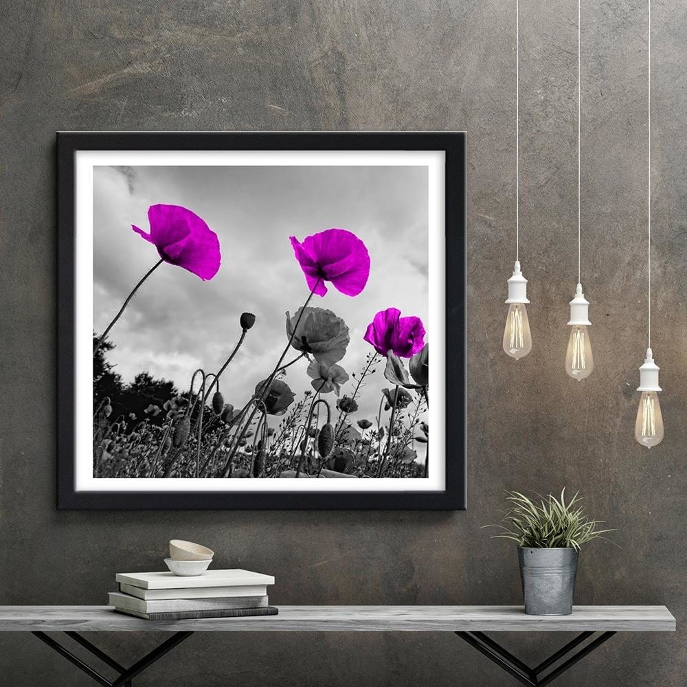 Glezna melnā rāmī - Purple Poppy Flowers Home Trends